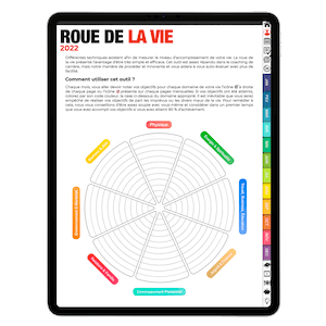 Roue de la vie