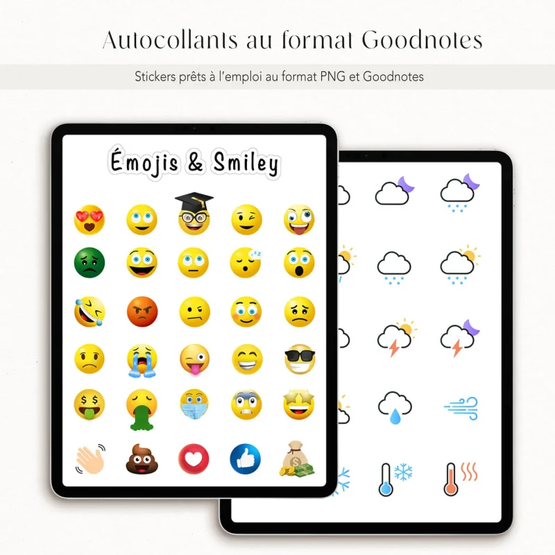 Bundle Carnets Numériques & Stickers – Image 19